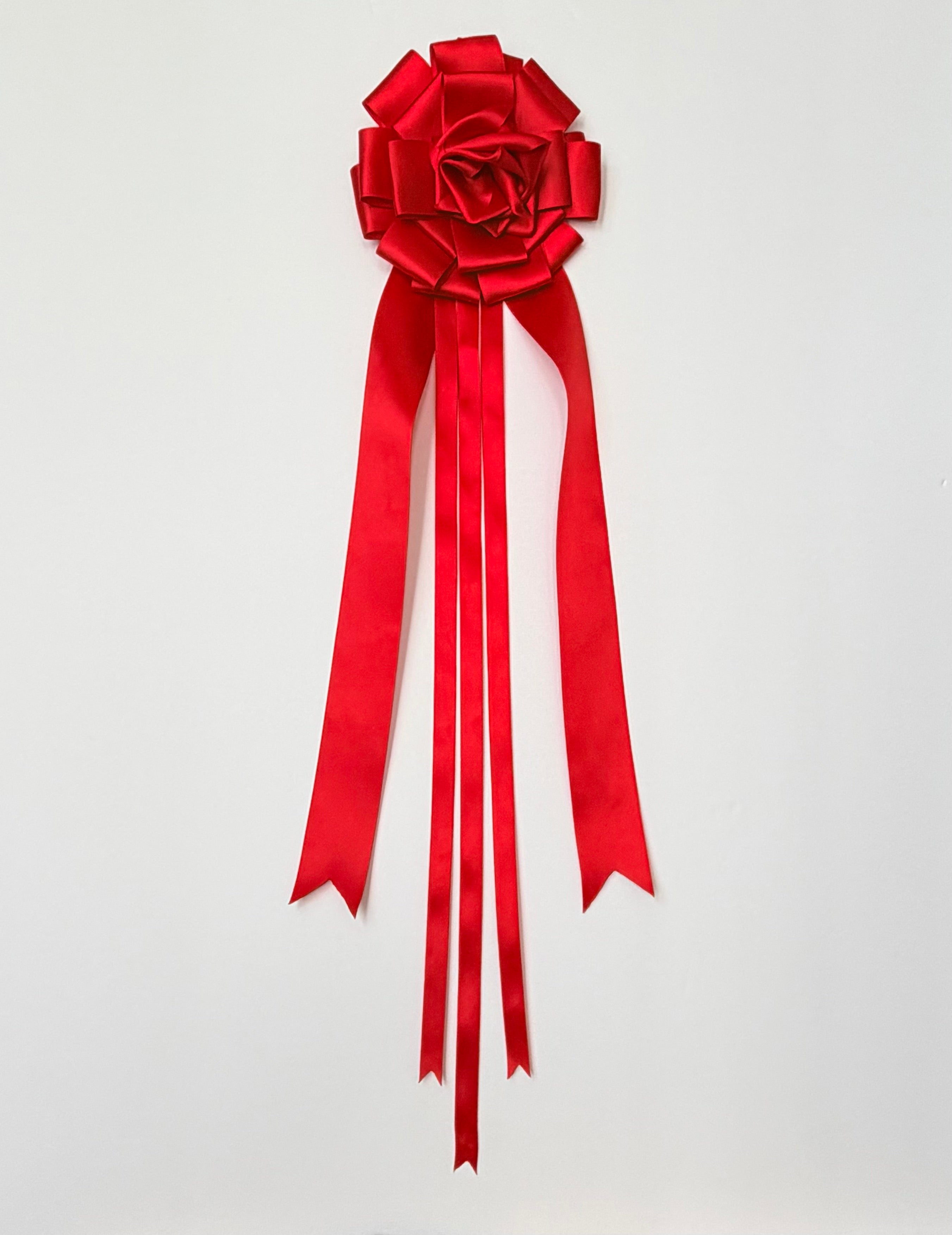 Show Pony Award Ribbon